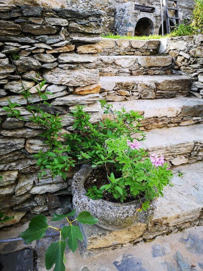 B&B Ca' Du Brigidin Tovo San Giacomo Exterior photo