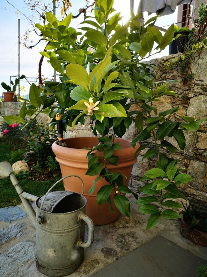 B&B Ca' Du Brigidin Tovo San Giacomo Exterior photo